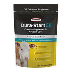 Dura-Start 50 Colostrum Supplement for Newborn Calves  Durvet